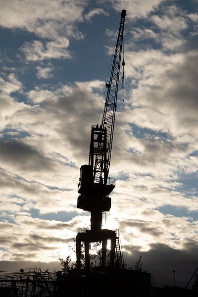Danziger Hafen in Polen mit den berühmten Kränen von Eric van Nieuwland