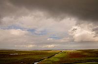 Dramatic light over Groningen's salt marshes