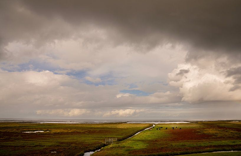 Dramatic light over Groningen's salt marshes by Bo Scheeringa Photography