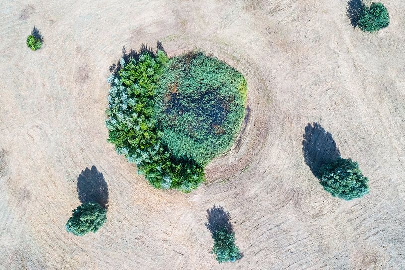 Oase von Bernardine de Laat