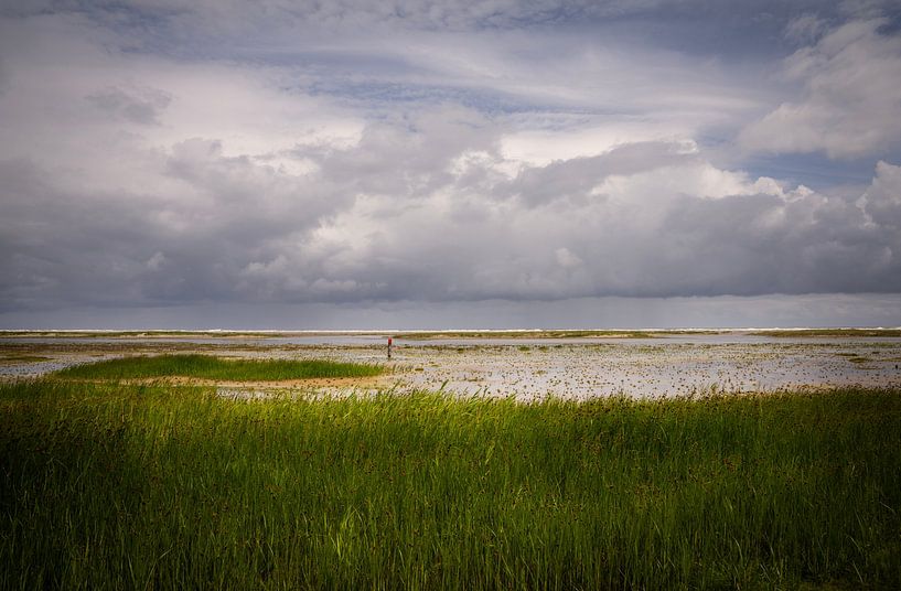 The green beach of Ballum on Ameland by Bo Scheeringa Photography