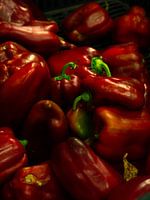 Die Paprikaschoten