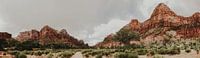 Zion National Park