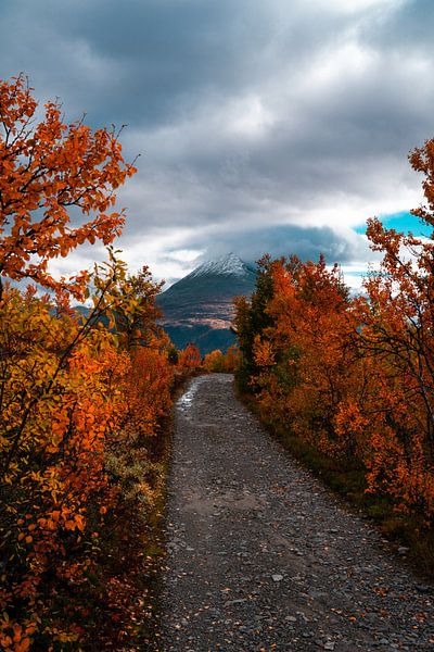 Bergblick im Herbst, Blätter und Wolken von Luuk van den Ende