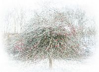 Apfelbaum im Schnee