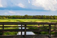Relaxing countryside