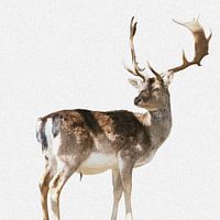 Hert (foto met olieverf uitstraling)