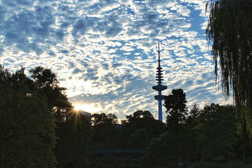 Coucher de soleil sur Planten un Blomen par Elbkind89