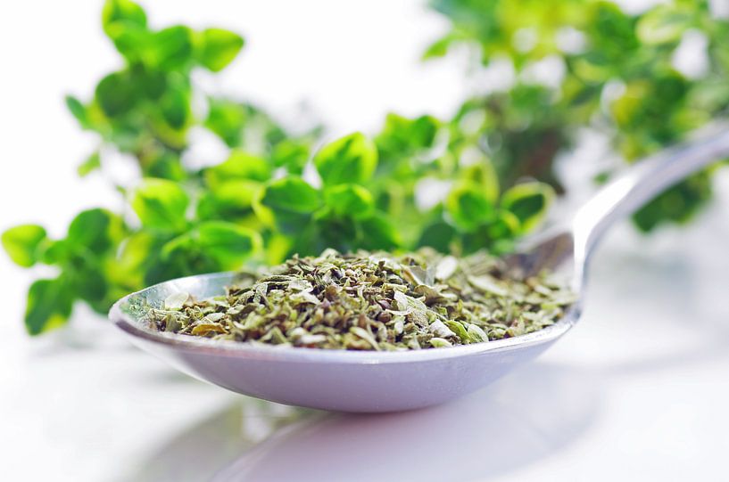 Herbes culinaires Origan frais par Tanja Riedel