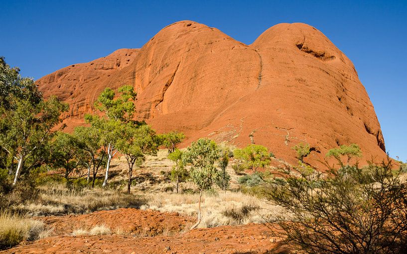 Kata Tjuta by Pieter van der Zweep