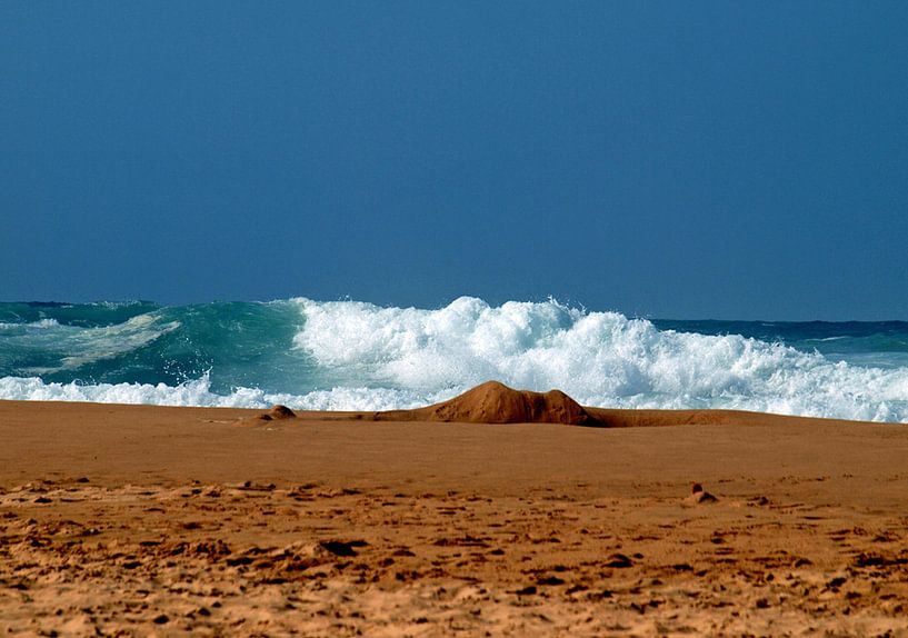 Vagues blanches par Ineke de Rijk