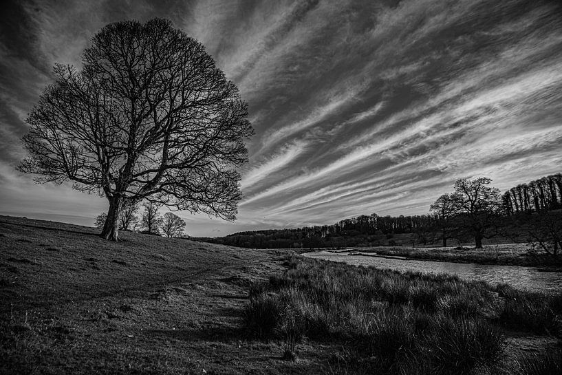 Park Alnwick Caslte by Michael Brand