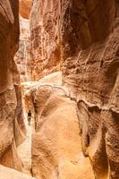 Spaziergang durch die Schlucht