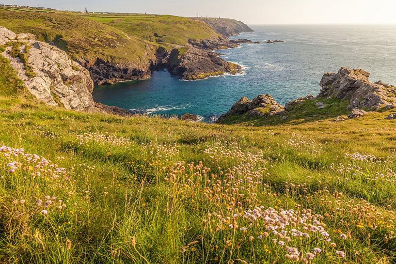 Cape Cornwall, Penwith-Halbinsel, Cornwall von Christian Müringer