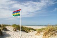 Beach and dunes of Terschelling #1