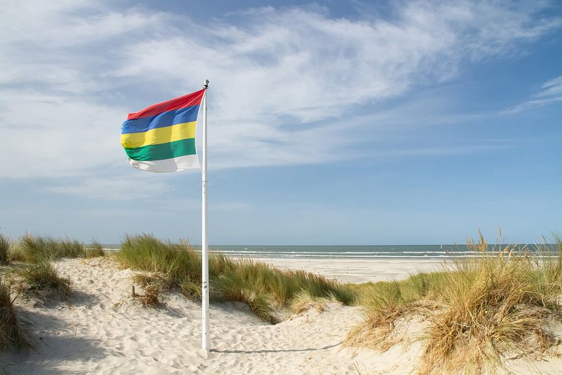 Strand und Dünen von Terschelling #1 von Marianne Klok