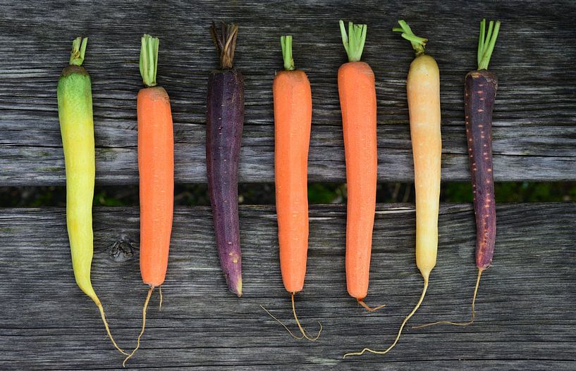 Peeled carrots by Ulrike Leone