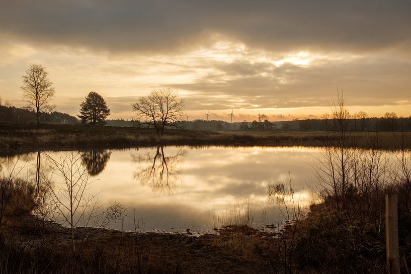 Teich im Gegenlicht von Johan Vanbockryck