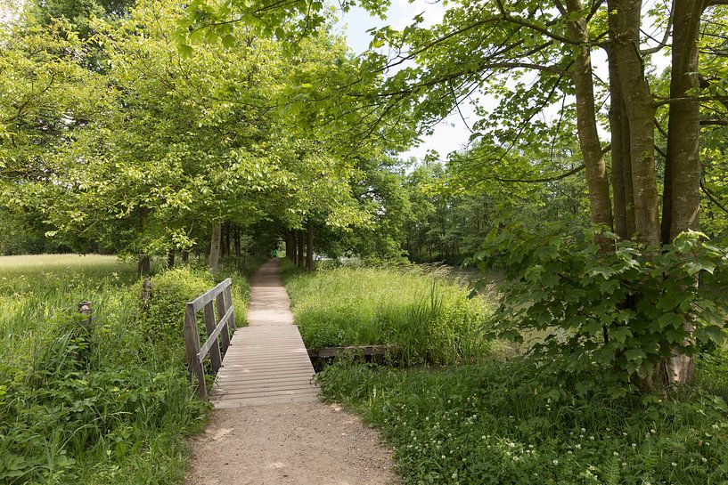Jaagpad langs de Kromme Rijn van Marijke van Eijkeren