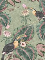 Toucan birds and passiflora flowers in tropical garden