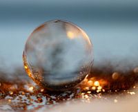 Coucher de soleil pris dans une goutte d'eau