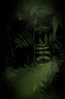 Nature in Norway's forests