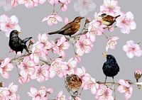 Vögel auf blühenden Zweigen