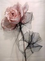 Whispers of Rose - A Tribute to Floral Grace - Wall Art