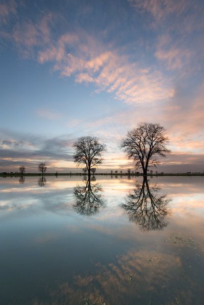 Flooding of the Meuse River by Iris Waanders