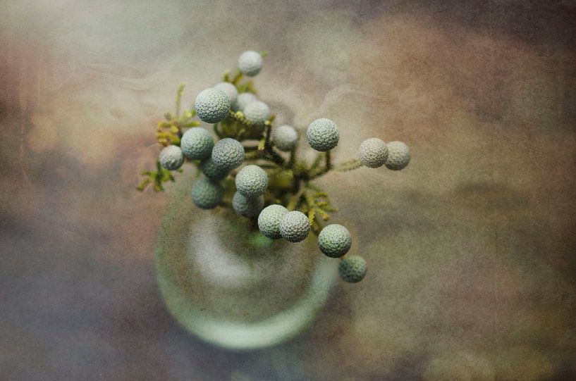 Exotic Texture  by Sara  Lee