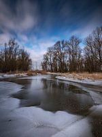 Biesbosch Winterlandschaft