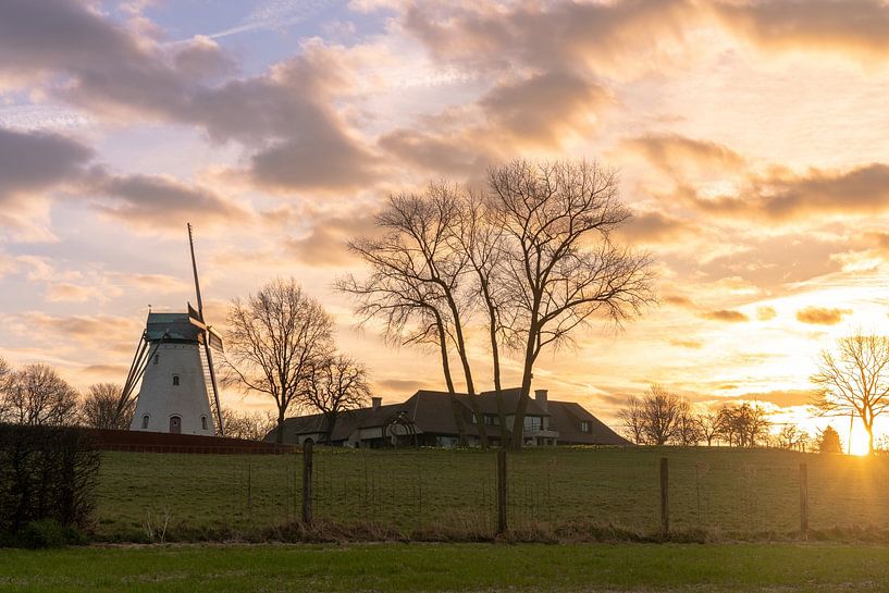 Bergmühle von Anzegem von Marcel Derweduwen