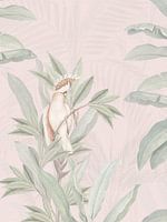 White Cockatoo bird & tropical palm trees on pink