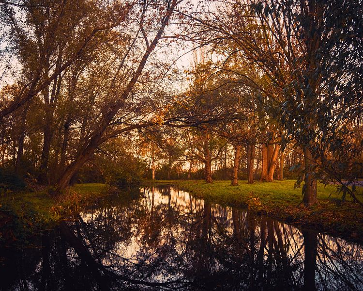 Herbst im Stadtwald von Pensierino by Barbara