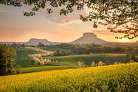 Frühling in der Sächsischen Schweiz