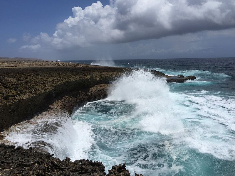 Curacao, ruwe zee von Patsy Van den Broeck