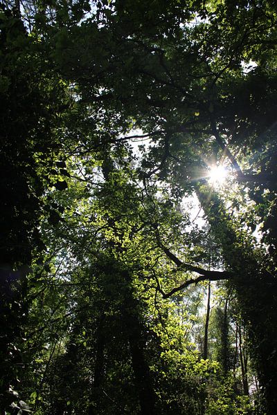 Die Decke mit Licht von Kaleidoscopephotography