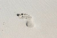 Leaving an imprint in the sand