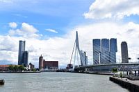 rotterdam 