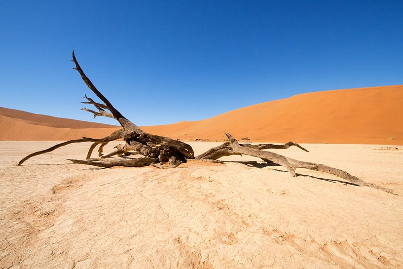 Tote Gestalten - Der Gefallene von Fabrizio Gallo