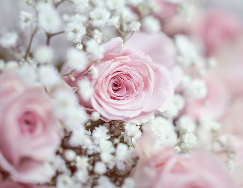 Romantic pink roses with gypsophilia by Mariska Vereijken
