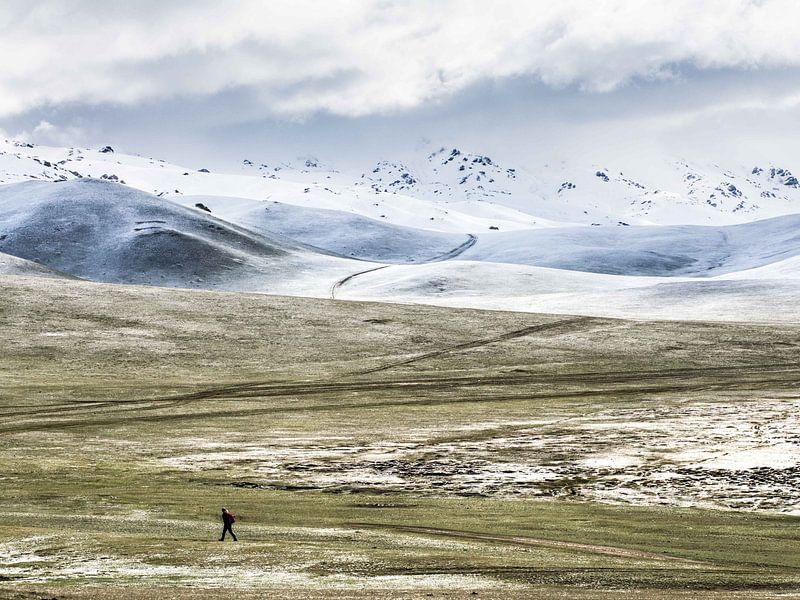 Wie ein Traum von Ann Cools
