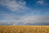 Ein halber Regenbogen über der kanadischen Prärie