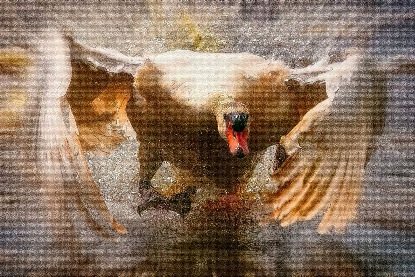 Mosaic Swan close by and looking at you by Marjolein Deelen