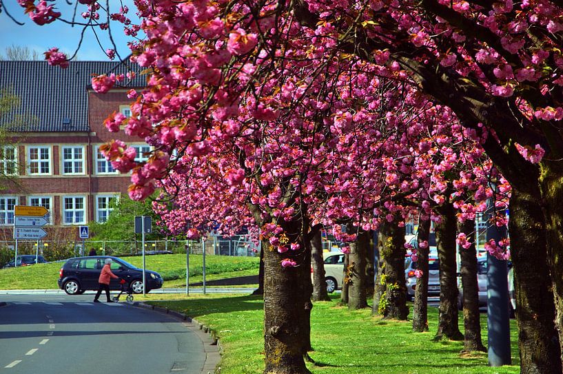 Passage pour piétons par Edgar Schermaul