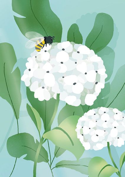 Weiße Hortensie von Ilse Thijs