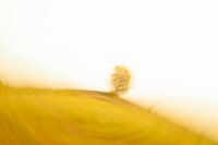 Fotografie,Abstract,Abstrait,