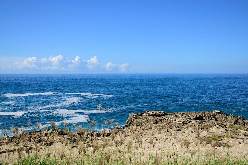 Waving grass by Frank's Awesome Travels