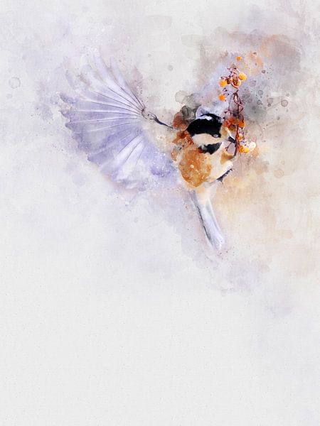 Unsere gefiederten Freunde: Kohlmeise von Christian Müringer