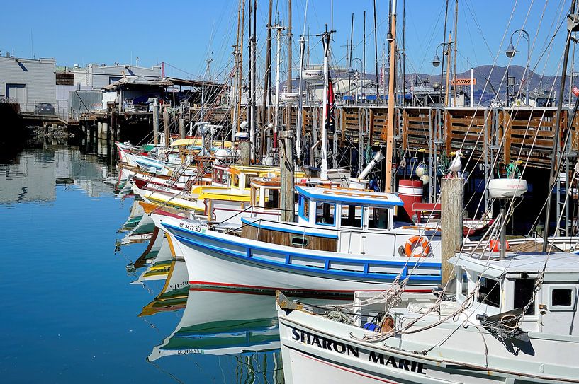 Sharon Marie et ses amis par Frank's Awesome Travels